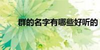 群的名字有哪些好聽的(群的名字)