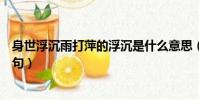 身世浮沉雨打萍的浮沉是什么意思(身世浮沉雨打萍的上一句)