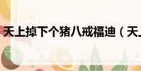 天上掉下個豬八戒福迪(天上掉下個豬八戒)