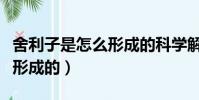 舍利子是怎么形成的科學解釋(舍利子是怎么形成的)