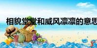 相貌堂堂和威風凜凜的意思(威風凜凜的意思)