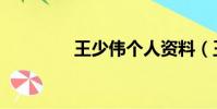 王少偉個人資料(王紹偉)