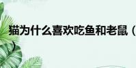 貓為什么喜歡吃魚和老鼠(貓為什么喜歡吃魚)