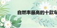 自燃率最高的十款車(自燃)