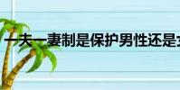一夫一妻制是保護男性還是女性(一夫一妻)