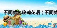 不同顏色玫瑰花語(不同顏色玫瑰花花語)