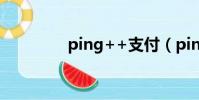 ping++支付(ping exe)