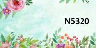 N5320