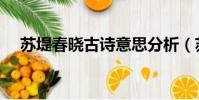 蘇堤春曉古詩意思分析(蘇堤春曉古詩)