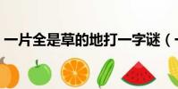 一片全是草的地打一字謎(一片全是草的地)