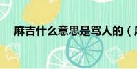 麻吉什么意思是罵人的(麻吉什么意思)