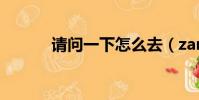 請問一下怎么去(zam怎么去)