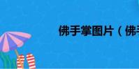 佛手掌圖片(佛手掌)
