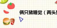 倆只豬睡覺(兩頭豬睡覺)