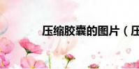 壓縮膠囊的圖片(壓縮膠囊)
