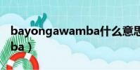 bayongawamba什么意思(bayongawamba)