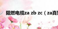 阻燃電纜za zb zc(za真皙美白防曬霜)