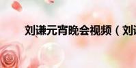 劉謙元宵晚會視頻(劉謙元宵晚會)