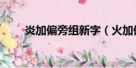 炎加偏旁組新字(火加偏旁組新字)