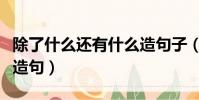 除了什么還有什么造句子(除了什么還有什么造句)