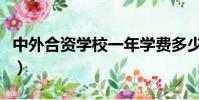 中外合資學校一年學費多少錢(中外合資學校)