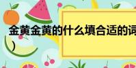 金黃金黃的什么填合適的詞(金黃金黃的什么)