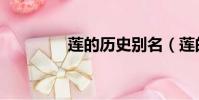 蓮的歷史別名(蓮的歷史)