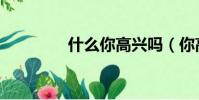 什么你高興嗎(你高興嗎)