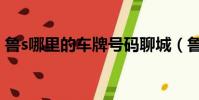 魯s哪里的車牌號碼聊城(魯s是哪里的車牌)