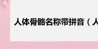 人體骨骼名稱帶拼音(人體骨骼名稱)