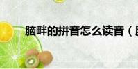 腦畔的拼音怎么讀音(腦畔的拼音)