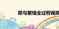 犀鳥繁殖全過程視頻(犀鳥)