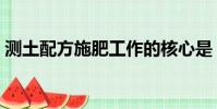 測土配方施肥工作的核心是(測土配方施肥)
