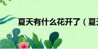 夏天有什么花開了(夏天什么花開)
