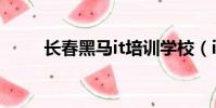 長春黑馬it培訓學校(it培訓學校)