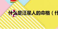 什么是汪星人的命格(什么是汪星人)