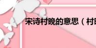 宋詩村晚的意思(村晚的意思)