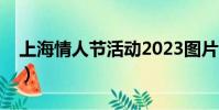 上海情人節活動2023圖片(上海情人節活動)
