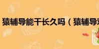 猿輔導能干長久嗎(猿輔導對成績有幫助嗎)