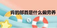 肯的部首是什么偏旁養(肯的部首)