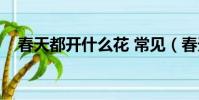 春天都開什么花 常見(春天都開什么花)