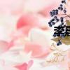 李晨國外拍戲（vj李晨）
