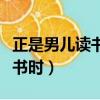 正是男兒讀書時前一句和后兩句（正是男兒讀書時）