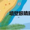 墻壁眼睛膝蓋小說（墻壁 眼睛 膝蓋）