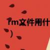 rm文件用什么播放器（ultra rm converter）
