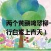 兩個黃鸝鳴翠柳一行白鷺上青天的畫面（兩個黃鸝鳴翠柳一行白鷺上青天）