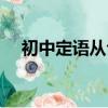 初中定語從句例句簡單（初中定語從句）