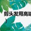 剪頭發用高端術語怎么說（剪頭發是什么手術）