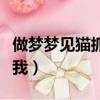 做夢夢見貓抓我枕巾什么意思（做夢夢見貓抓我）