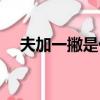 夫加一撇是什么字（夫加一筆是什么字）